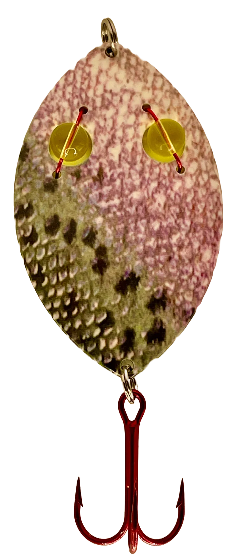 BLEEDING EYE RAINBOW TROUT