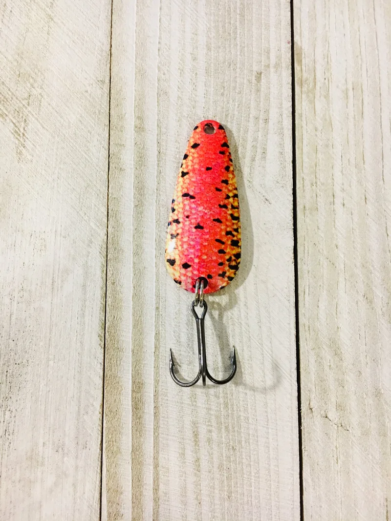 FORAGE MINNOW FALL RAINBOW TROUT