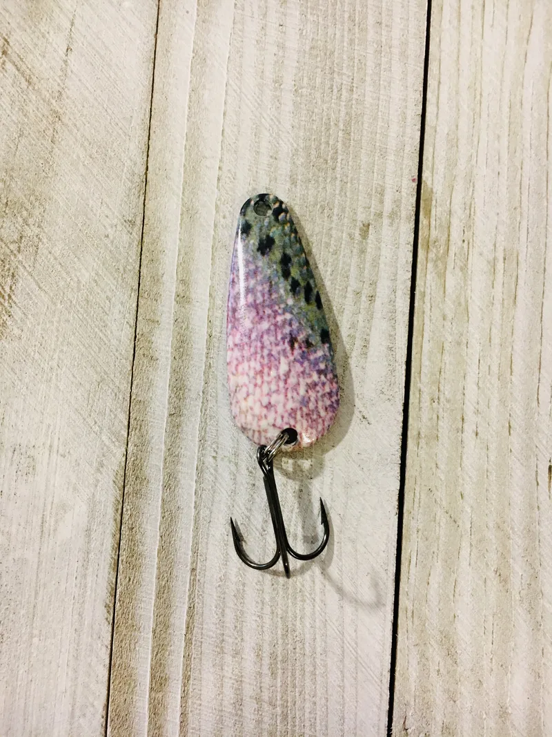 FORAGE MINNOW RAINBOW TROUT