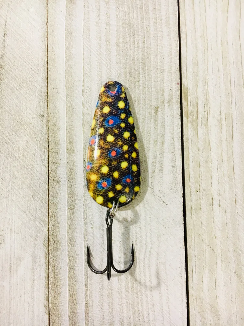 FORAGE MINNOW BROOK TROUT