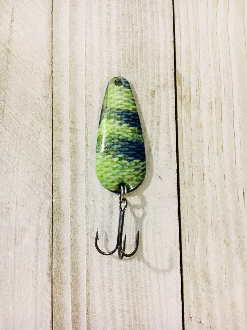 FORAGE MINNOW PERCH